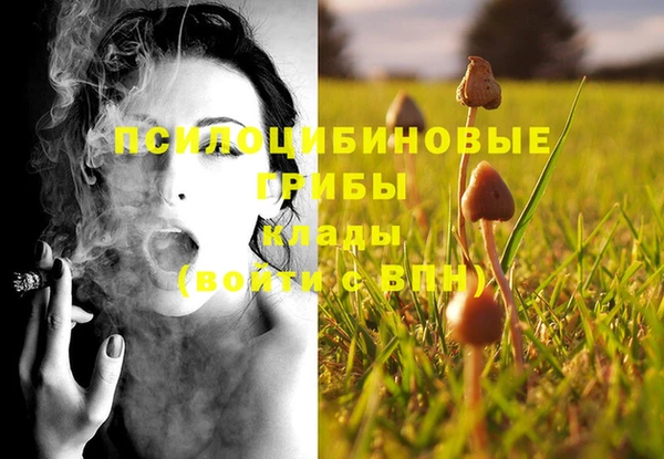 Альфа ПВП Горняк