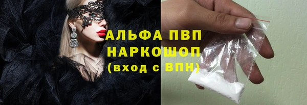 Альфа ПВП Горняк