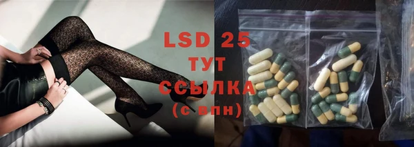 Альфа ПВП Горняк
