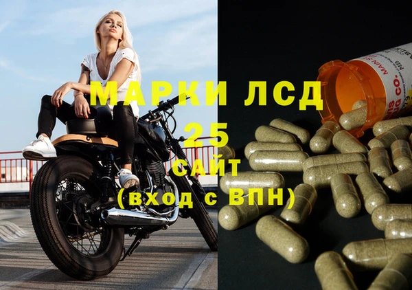 Альфа ПВП Горняк