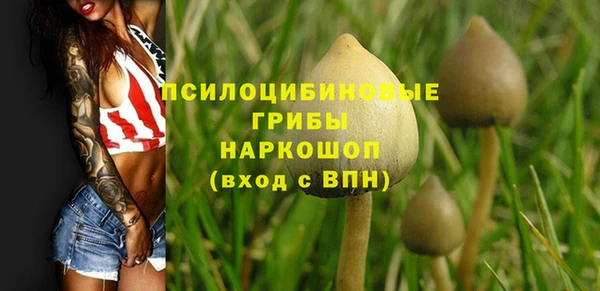синтетический гашиш Дмитриев